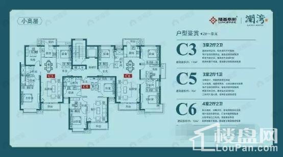 澜湾3室2厅2卫户型图