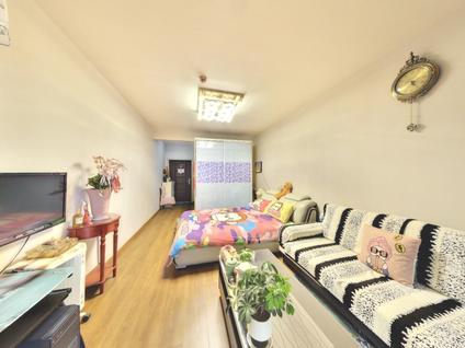 北京晓庄国际广场1室1厅43.91平高楼层/共29层