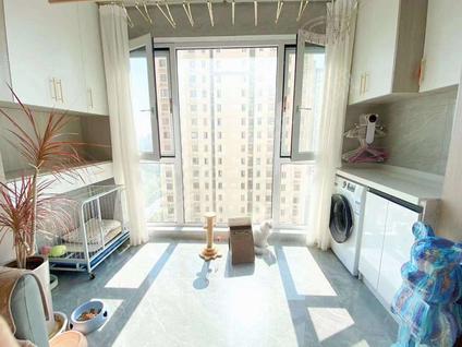 北京花王新村2室2厅89平中楼层/共33层