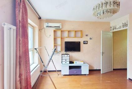 北京罗马假日2室1厅40平高楼层/共3层