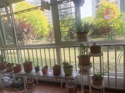 北京石化新村3室2厅130.41平低楼层/共12层