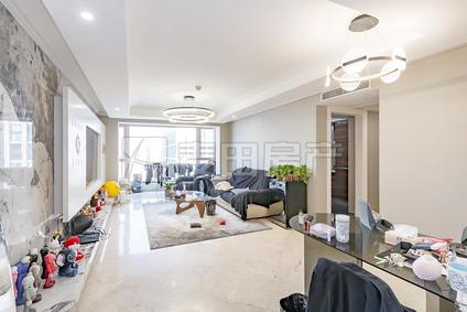 北京世茂宫园1室1厅105平中楼层/共30层