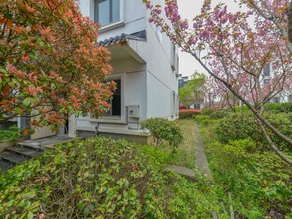 常州东湖花苑4室2厅229.36平低楼层/共3层