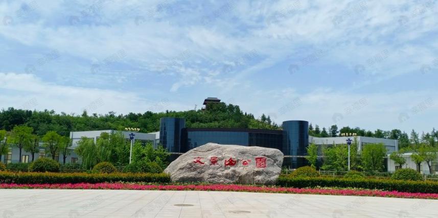 白桦林奕效果图