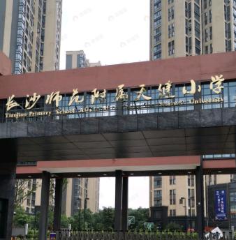 邦泰观宸效果图