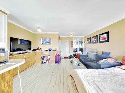 哈尔滨枫蓝国际1室0厅48.89平高楼层/共33层