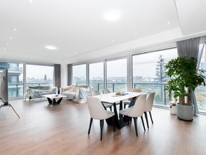 北京三湘印象名邸4室2厅215平高楼层/共11层