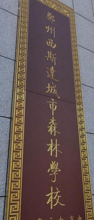 通派龙湖中原颂效果图
