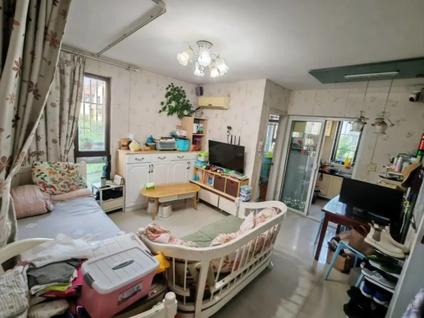 上海绿苑新城2室1厅54.21平高楼层/共6层