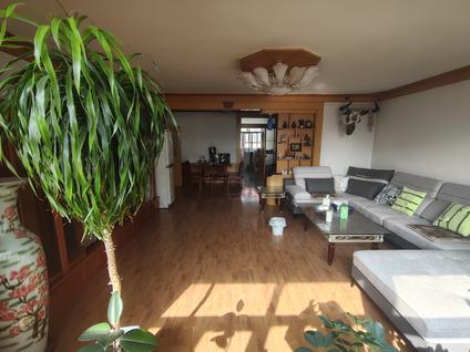 北京朝阳新村3室2厅113.6平高楼层/共7层