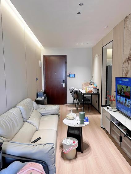 深圳会展湾南岸广场1室1厅30.06平中楼层/共8层