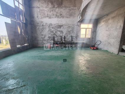 东莞金湾长堤1号6室3厅554平低楼层/共1层