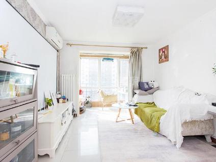 北京华龙美树1室1厅58.03平中楼层/共17层