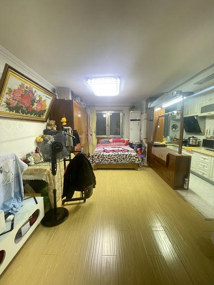 北京中奥嘉园(南区)1室1厅52.11平低楼层/共15层