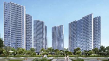 佛山保利和著南海 平洲/建面119平-163平