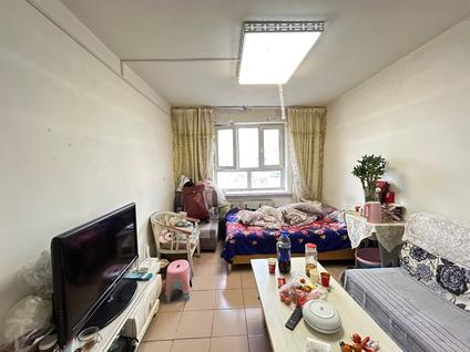 北京团结大院2室2厅60平高楼层/共4层