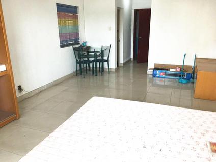 深圳大地花园1室1厅52.96平高楼层/共26层