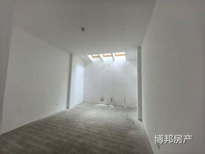 乌鲁木齐绿城南山阳光3室2厅267平低楼层/共2层
