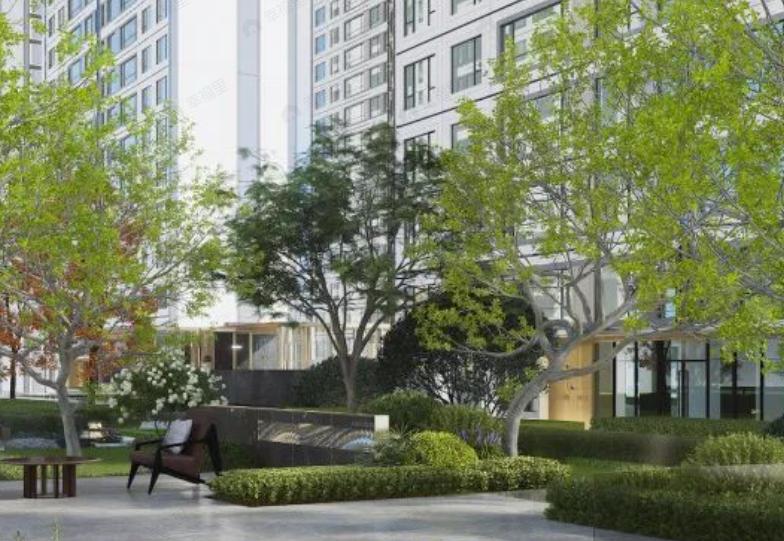 白桦林境效果图