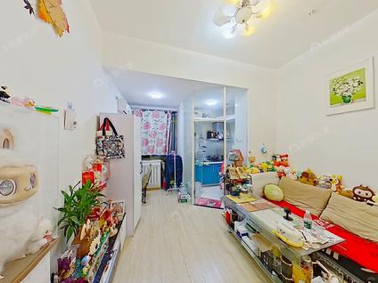 北京彩虹城(四区)0室1厅44.45平中楼层/共16层