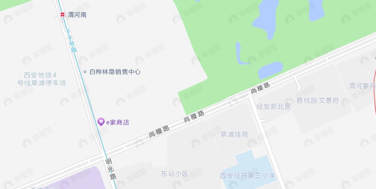 白桦林隐效果图