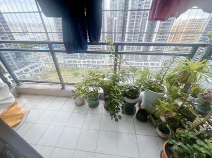 北京坡博家园4室2厅125.6平中楼层/共33层