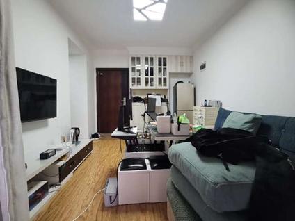 上海兰棠佳苑1室1厅59平低楼层/共23层