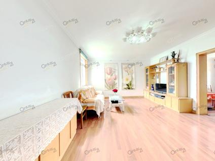 合肥大富新村2室1厅88.75平中楼层/共7层