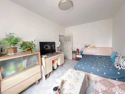 北京粮校小区2室1厅48.41平中楼层/共4层