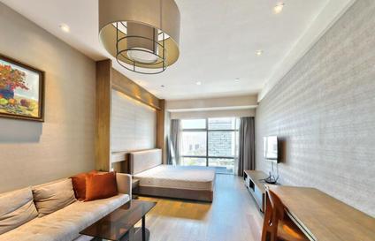 北京欧美金融城1室1厅60.03平低楼层/共43层