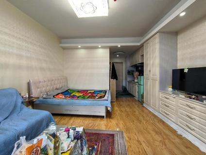 银川森林半岛1室1厅45平高楼层/共28层