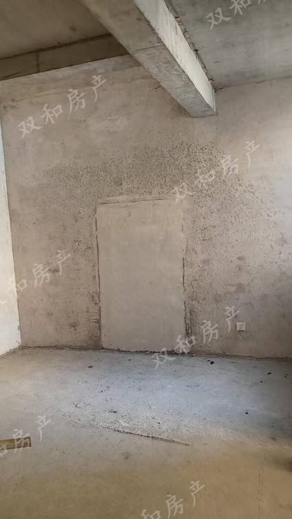 淄博伊家楼村3室2厅183平低楼层/共2层