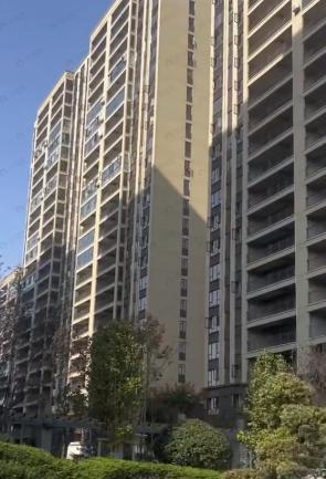 观澜凤凰城效果图