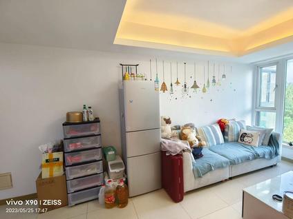 北京东郊小镇(第三街区)1室1厅45.55平高楼层/共6层