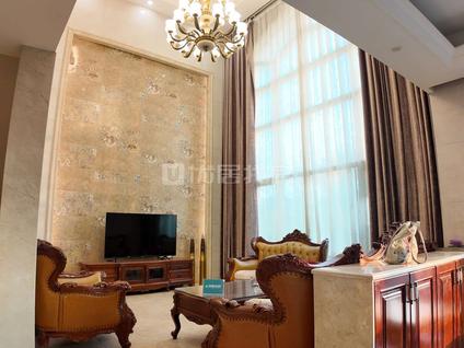 东莞虎门国际公馆6室2厅288平低楼层/共1层