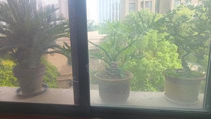 北京御品华府3室2厅111平低楼层/共21层