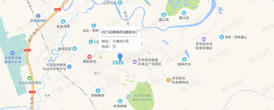 白兰花树效果图