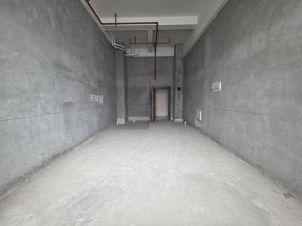 镇江宝龙城市广场1室1厅44平低楼层/共26层