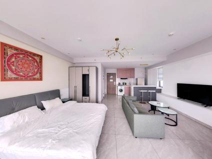 北京绿地新海岸1室0厅65.14平高楼层/共29层