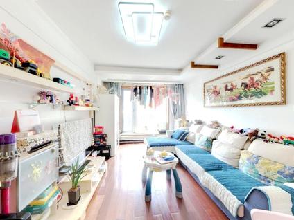 北京星海人家2室2厅99.67平中楼层/共10层