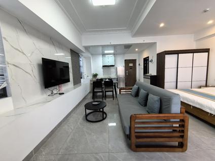 海口绿地新海岸1室1厅65.48平中楼层/共29层