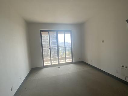 南京弘阳燕江府3室2厅110.2平中楼层/共32层