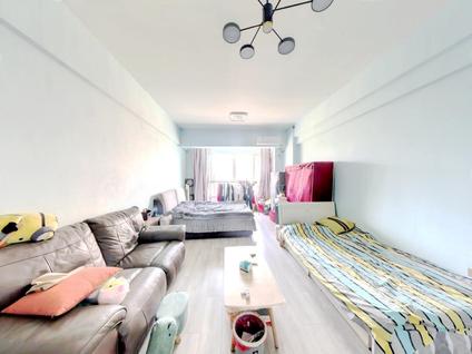 北京东方盛世1室1厅49.22平低楼层/共13层