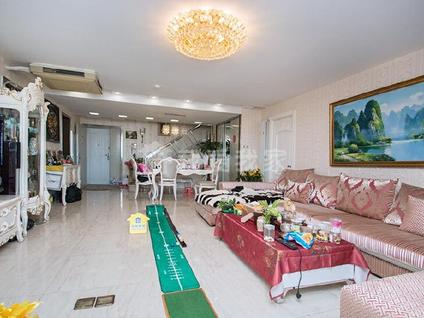 北京世纪宝鼎公寓4室5厅230.5平高楼层/共24层