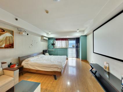 南京河西万达广场万达中心1室1厅43.85平高楼层/共32层