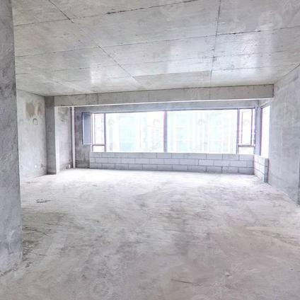 九江中基壹号4室3厅257平中楼层/共17层