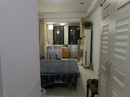 南京东方万汇城(北区)1室1厅31平高楼层/共32层