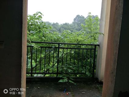 北京陶园7室3厅340平低楼层/共3层