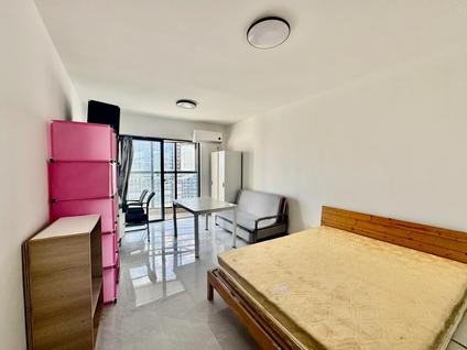 厦门夏商大学康城(一期)1室1厅47.48平中楼层/共26层