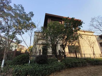 九江龙翔国际6室4厅202.42平低楼层/共3层